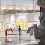 HACCI - Mall Of The Emirates